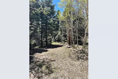 146 Gibson Road, Westcliffe, CO 81252 - Photo 5