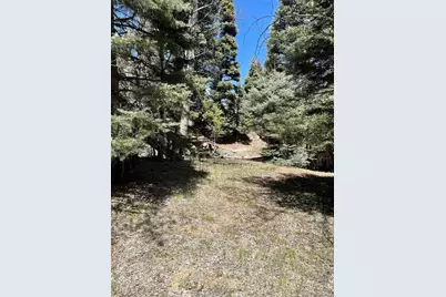 146 Gibson Road, Westcliffe, CO 81252 - Photo 13