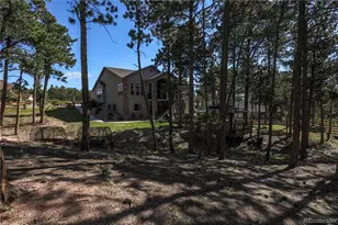 16021 Fox Mesa Ct, Monument, CO 80132 - Photo 33