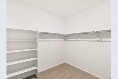 1614 Nathan River Drive, Windsor, CO 80550 - Photo 23