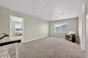 9203 Pitkin St, Commerce City, CO 80022 - Photo 19