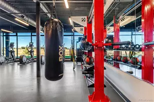 3627 Recess Ln, Castle Rock, CO 80108 - Photo 39