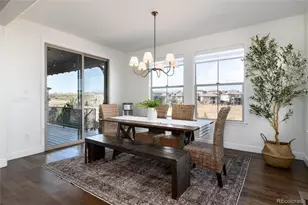 10849 Greycliffe Dr, Highlands Ranch, CO 80126 - Photo 11