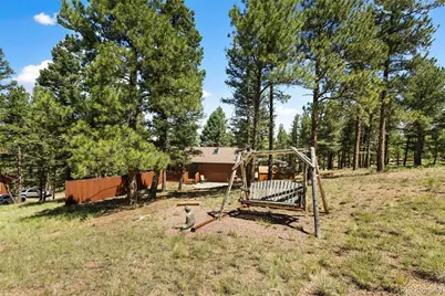 234 Wasatch Lane, Florissant, CO 80816 - Photo 37