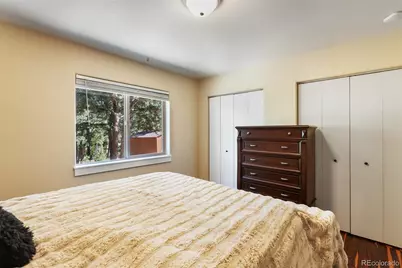 234 Wasatch Lane, Florissant, CO 80816 - Photo 19