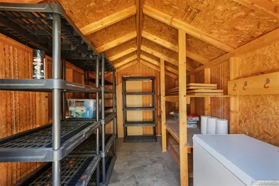 234 Wasatch Lane, Florissant, CO 80816 - Photo 23