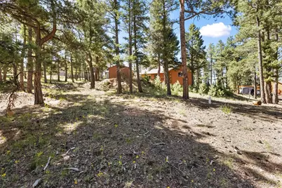 234 Wasatch Lane, Florissant, CO 80816 - Photo 29
