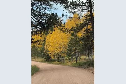 234 Wasatch Lane, Florissant, CO 80816 - Photo 43