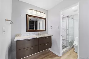 855 N Pennsylvania Street, Denver, CO 80203 - Photo 13