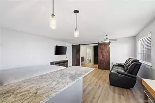 855 N Pennsylvania Street, Denver, CO 80203 - Photo 3