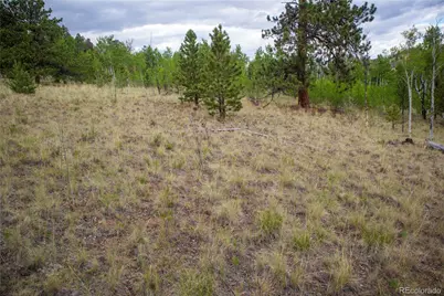 2396 Fitzsimmons Road, Hartsel, CO 80449 - Photo 9