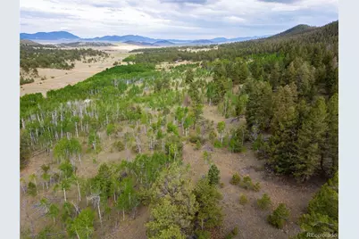 2396 Fitzsimmons Road, Hartsel, CO 80449 - Photo 1