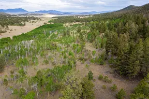 2396 Fitzsimmons Rd, Hartsel, CO 80449 - Photo 1