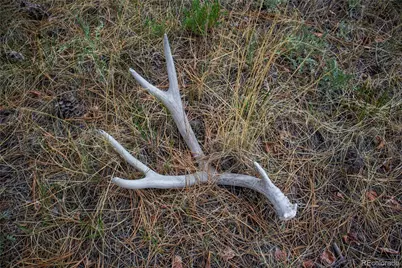 2396 Fitzsimmons Road, Hartsel, CO 80449 - Photo 13