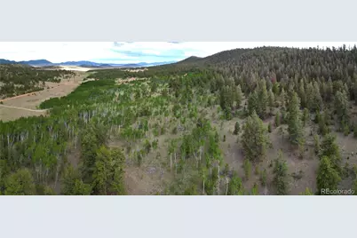 2396 Fitzsimmons Road, Hartsel, CO 80449 - Photo 25