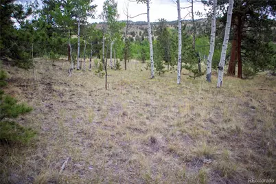 2396 Fitzsimmons Road, Hartsel, CO 80449 - Photo 17