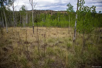 2396 Fitzsimmons Road, Hartsel, CO 80449 - Photo 11