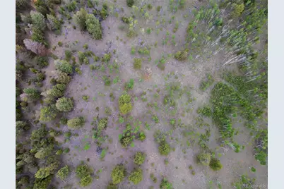 2396 Fitzsimmons Road, Hartsel, CO 80449 - Photo 7