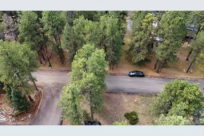 26698 De Berry Street, Conifer, CO 80433 - Photo 5