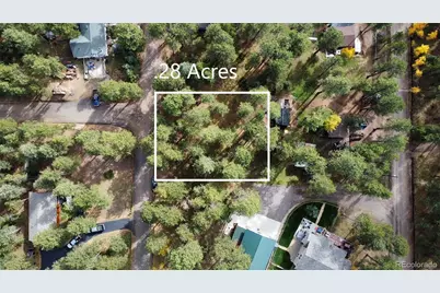 26698 De Berry Street, Conifer, CO 80433 - Photo 3