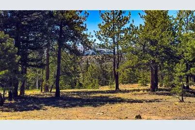 120 Chubb Court, Buena Vista, CO 81211 - Photo 19