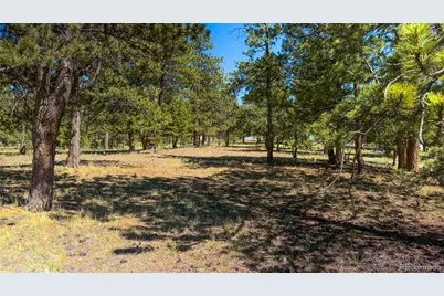 120 Chubb Court, Buena Vista, CO 81211 - Photo 21