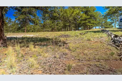 120 Chubb Court, Buena Vista, CO 81211 - Photo 15