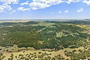 410 Rodeo Dr, Walsenburg, CO 81089 - Photo 39