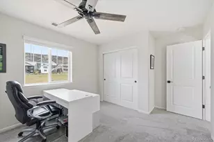 2232 Bramble St, Castle Rock, CO 80109 - Photo 29