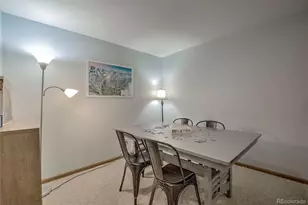 689 American Way, Breckenridge, CO 80424 - Photo 29