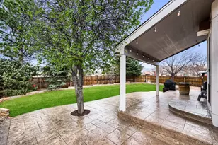 4141 Storm Cloud Way, Castle Rock, CO 80104 - Photo 27