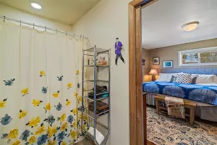 740 Castello Ave, Fairplay, CO 80440 - Photo 29