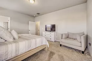 7567 Cat Tail, Colorado Springs, CO 80923 - Photo 13