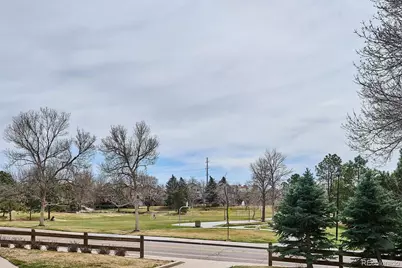 9445 Cheshire Court, Highlands Ranch, CO 80130 - Photo 37