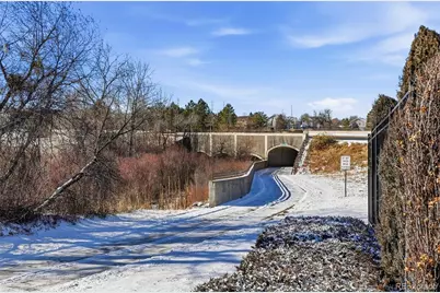 22600 E River Chase Way, Parker, CO 80138 - Photo 41