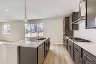 13763 Daffodil Way, Parker, CO 80134 - Photo 11