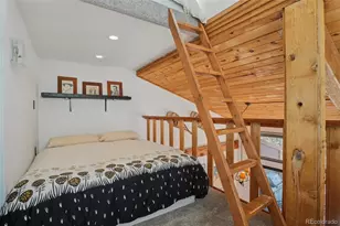 166 S Fuller Placer Rd, Breckenridge, CO 80424 - Photo 19