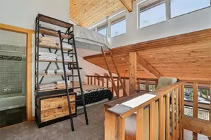 166 S Fuller Placer Rd, Breckenridge, CO 80424 - Photo 17