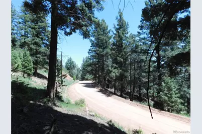 13524 Woodmoor West Drive, Larkspur, CO 80118 - Photo 25