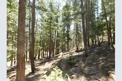 13524 Woodmoor West Drive, Larkspur, CO 80118 - Photo 21