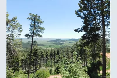 13524 Woodmoor West Drive, Larkspur, CO 80118 - Photo 33
