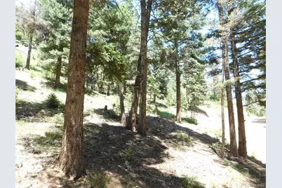 13524 Woodmoor West Drive, Larkspur, CO 80118 - Photo 15