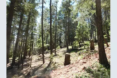13524 Woodmoor West Drive, Larkspur, CO 80118 - Photo 19