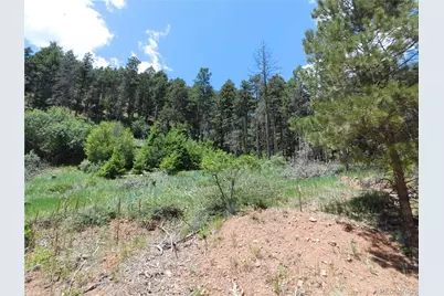 13524 Woodmoor West Drive, Larkspur, CO 80118 - Photo 7