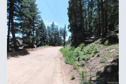 13524 Woodmoor West Drive, Larkspur, CO 80118 - Photo 27