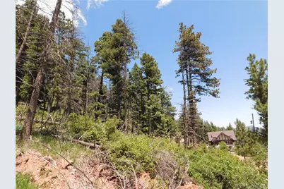 13524 Woodmoor West Drive, Larkspur, CO 80118 - Photo 11