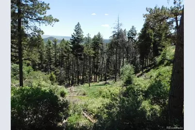 13524 Woodmoor West Drive, Larkspur, CO 80118 - Photo 43