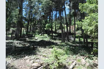 13524 Woodmoor West Drive, Larkspur, CO 80118 - Photo 23