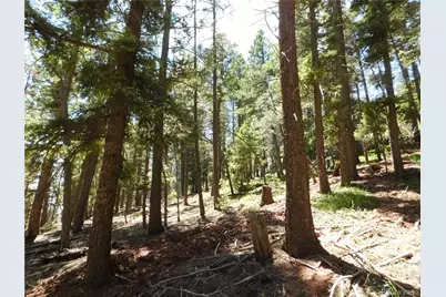 13524 Woodmoor West Drive, Larkspur, CO 80118 - Photo 17