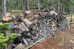 6842 Snowshoe Trail, Evergreen, CO 80439 - Photo 39